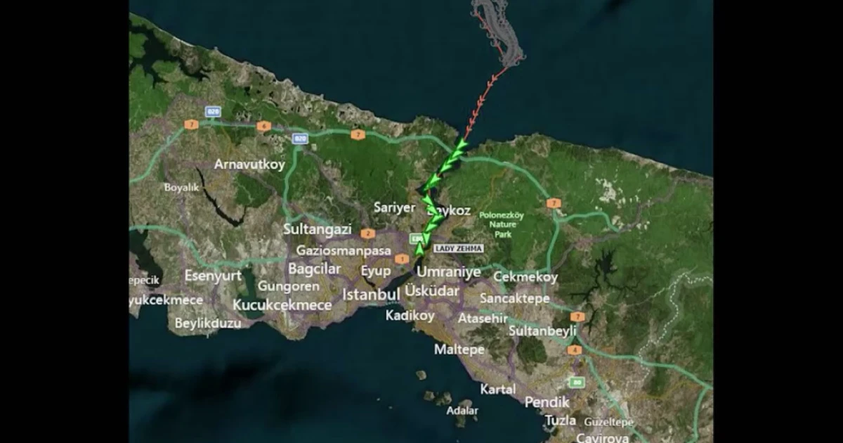Кораб със зърно от Украйна заседна край Истанбул и блокира