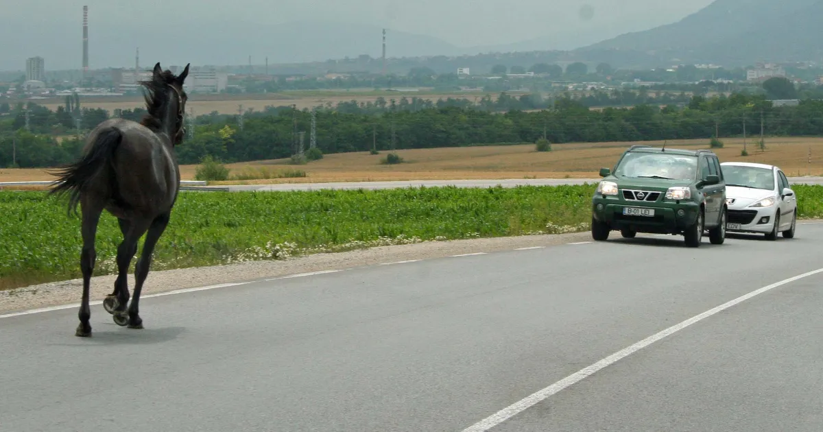 56-годишен мъж загина, след като с колата си се удря