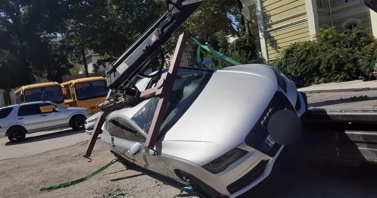 Паяк потроши автомобил в Плевен. Снимките са качени във Фейсбук