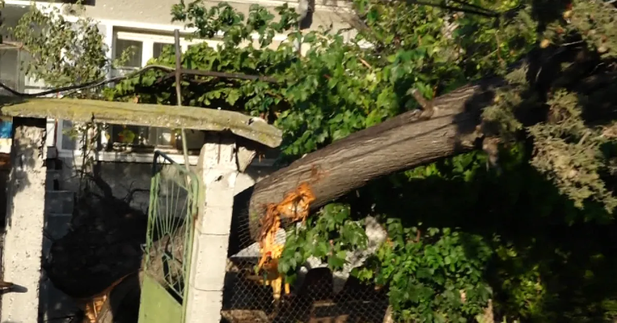 Няколко села в Бургаска област са без ток след бурята