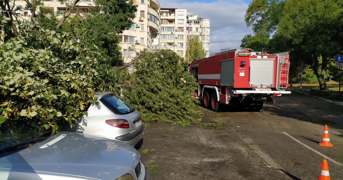 Аварийните екипи в Бургас разчистват щетите от бурята, която се