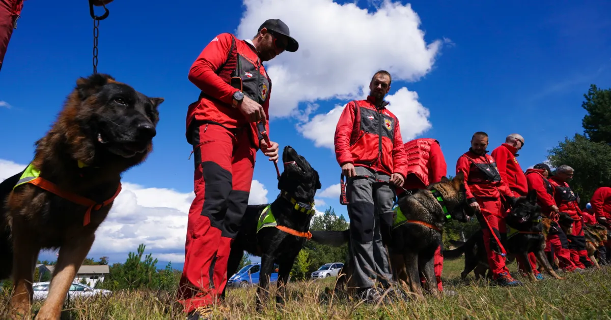 Планински спасители и водачи на кучета проведоха есенната си подготовка.