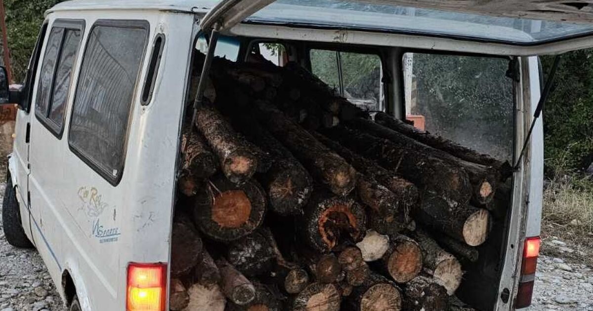 Горски служители предотвратиха незаконен превоз на дървен материал. Тази нощ,