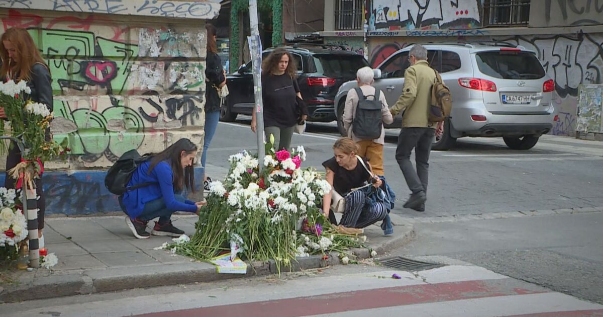 Петър Тодоров, убил 15-годишният Филип на пешеходна пътека в столицата,