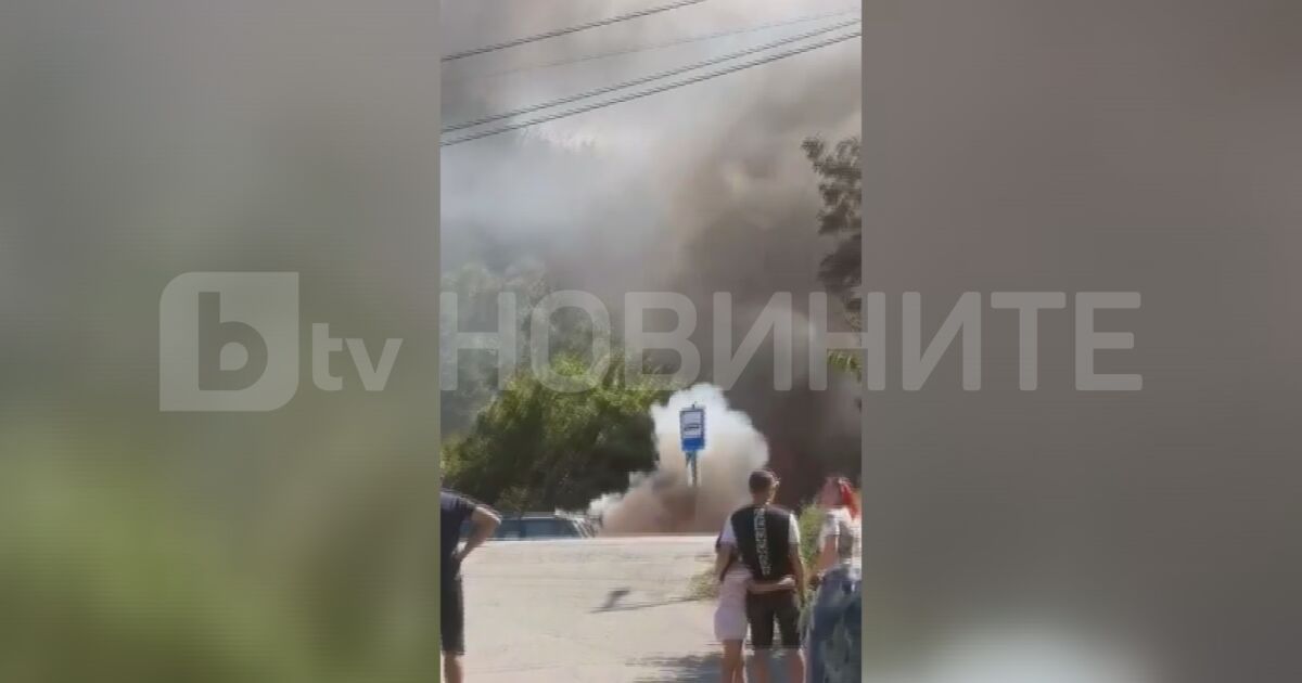 Три коли горят край благоевградския парк Бачиново.Огънят е избухнал преди