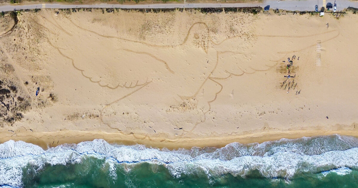 Огромна пясъчна рисунка на гълъб се появи на плажа на