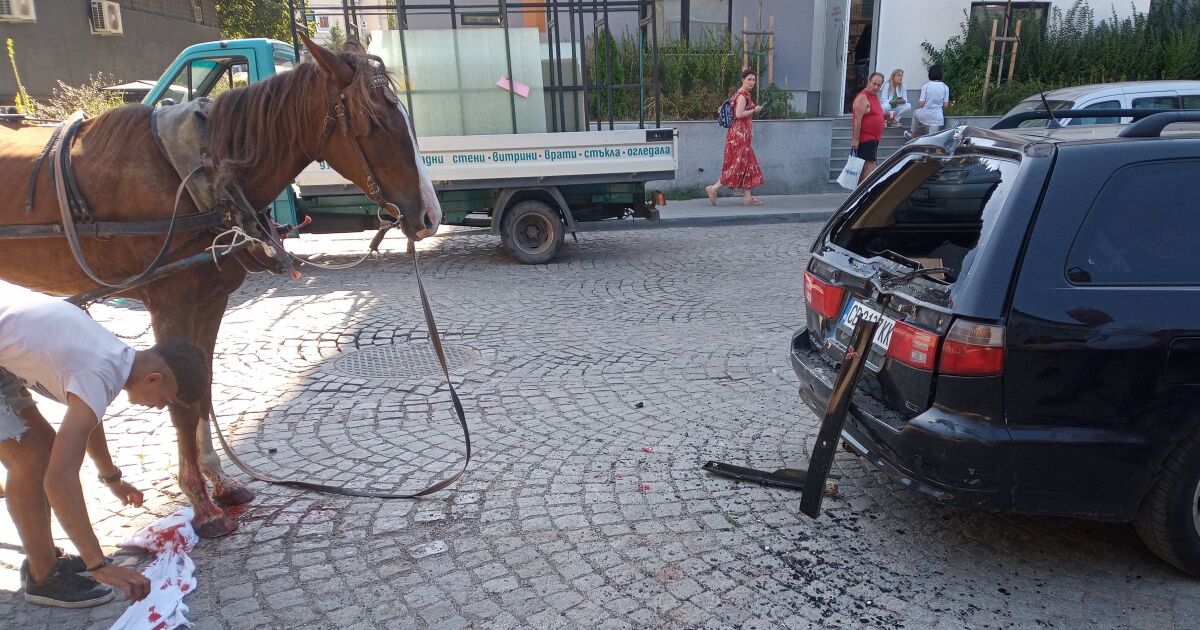 Инцидент между каруца и автомобил е станал вчера в София.