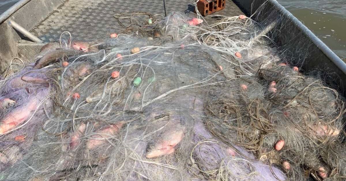 Над 500 кг риба дариха на зоопарка в Бургас и