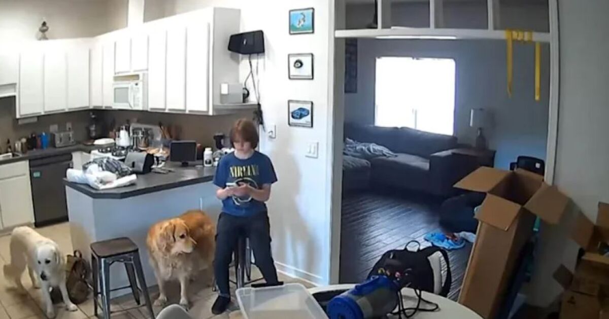 С ръце зад гърба си, Карли Грег бавно се връща