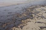 Частично бедствено положение във Варна заради замърсяването с мазут