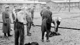 Календарът разказва, 11 април - Освободен е концлагерът Бухенвалд (СНИМКИ)