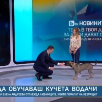 Среща с Елена Андреева, която дресира кучета и помага на незрящи