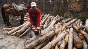 Презапасяване: До пет човека от едно домакинство се записват за дърва 