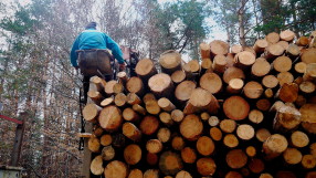 Бум на износа на дърва за южната съседка