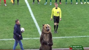 Мач в Русия бе открит от... мечка! (ВИДЕО)