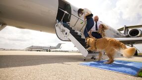 Полети с частни самолети за кучета? Да, срещу няколко хиляди долара (ВИДЕО и СНИМКИ)