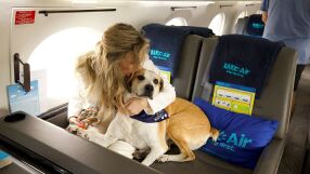 След 10 години подготовка: Авиокомпания за кучета извърши първия си полет (ВИДЕО и СНИМКИ)