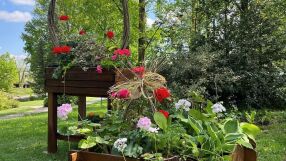 Безплатен вход за Ботаническата градина на БАН на Лазаровден и Цветница