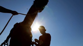 93 коня ще скачат за Световната купа в Божурище