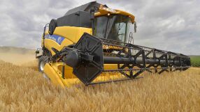 Български фермерски съюз: Пазарът на българско зърно замря 