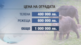 Над 1 млн. лв. ще струва оградата срещу диви прасета