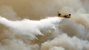 Португалия обяви тревога: 400 пожарникари се борят с горски пожари