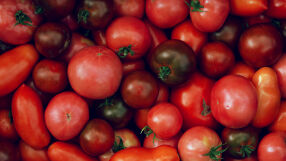 В тази страна доматите вече са по-скъпи от бензина