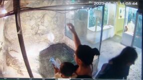 Посетители умишлено хвърлят мокри кърпи в терариума на крокодил в музей в Пловдив (ВИДЕО)