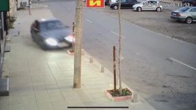Кола се качи на тротоар и помете дърво в Каблешково: Водачът се извини в ефира на bTV