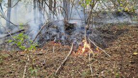 Разраства се пожарът в Родопите: Гасят огнеборци, военни, доброволци и местни (СНИМКИ и ВИДЕО)