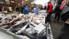 БАБХ: Няма сериозни нарушения при качеството на рибата за Никулден