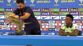 Съдят бразилския футбол заради... котка