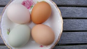 Кафявите яйца по-полезни ли са от белите?