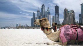 Вили и апартаменти са сред топ желаните имоти за инвестиции в Дубай
