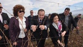Износът на български вина расте 