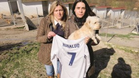 Мил жест на Роналдо спаси 80 кучета 