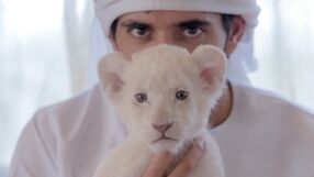 Големи котки = голям статус: Арабски милиардери пръскат луди пари за хищни домашни любимци (ВИДЕА)
