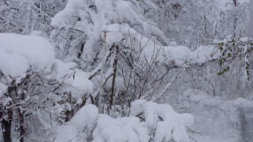 Сняг блокира Литекс в Турция