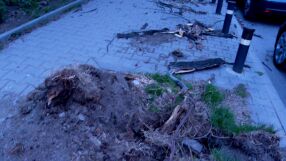 След ураганния вятър в Стара Загора: Паднали дървета, потрошени коли и блокирани улици 