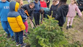 Акция „Жива елха” в Бургас: Деца засадиха коледните си дръвчета (СНИМКИ)