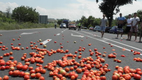 Зеленчукопроизводители готвят протести срещу дъмпинга