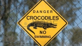 Отмениха плувен маратон заради....крокодили