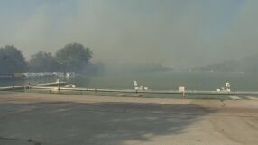 Пожарът край Грабната база в Пловдив: Засегнати са десетки декари гора и зелени площи