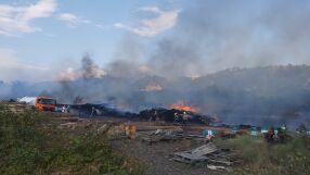 Голям пожар е пламнал в Кочериново, овладян е (СНИМКИ)