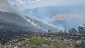 Огънят от Гърция: Пламъците бяха на метри от България