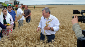 Греков се похвали с най-добрата реколта пшеница за последните 8 години