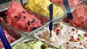 Какви са резултатите от проверките на БАБХ на търговците на сладолед?