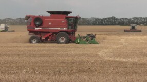 Василев прогнозира тройни цени на зърното, ако Европа не вземе мерки