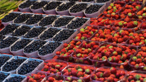 Цена за 500 грама ягоди без цената за килограм е нарушение
