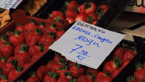 Солени цени на ягоди и череши отказват софиянци да правят сладко (ВИДЕО)